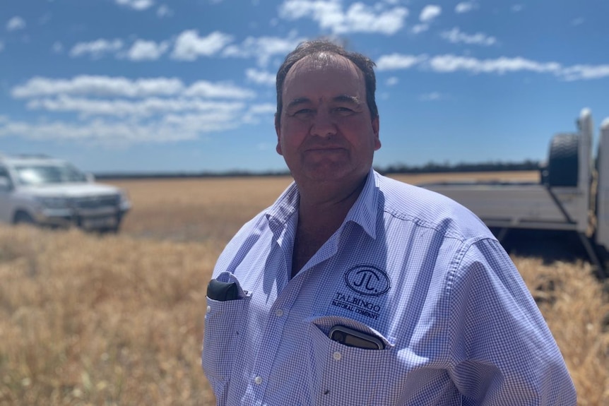 A man in a checked purple shirt stands in a paddock of grain.