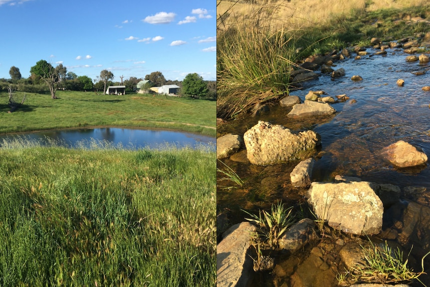 A dam surrounded by green grass and a flowing creek. 