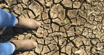 Two legs wearing light blue jeans and brown boots are seen from above standing on cracked earth.