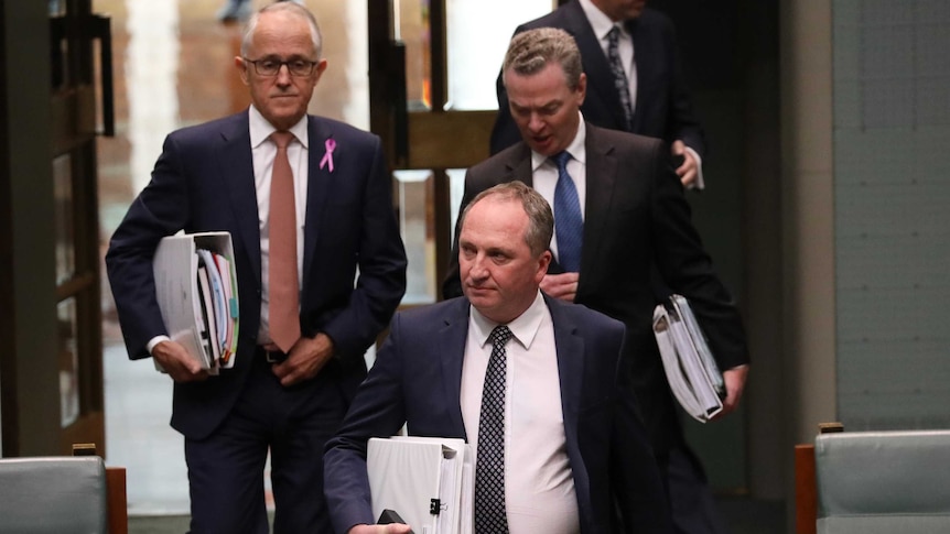 Barnaby Joyce leads Malcolm Turnbull and Christopher Pyne into Parliament