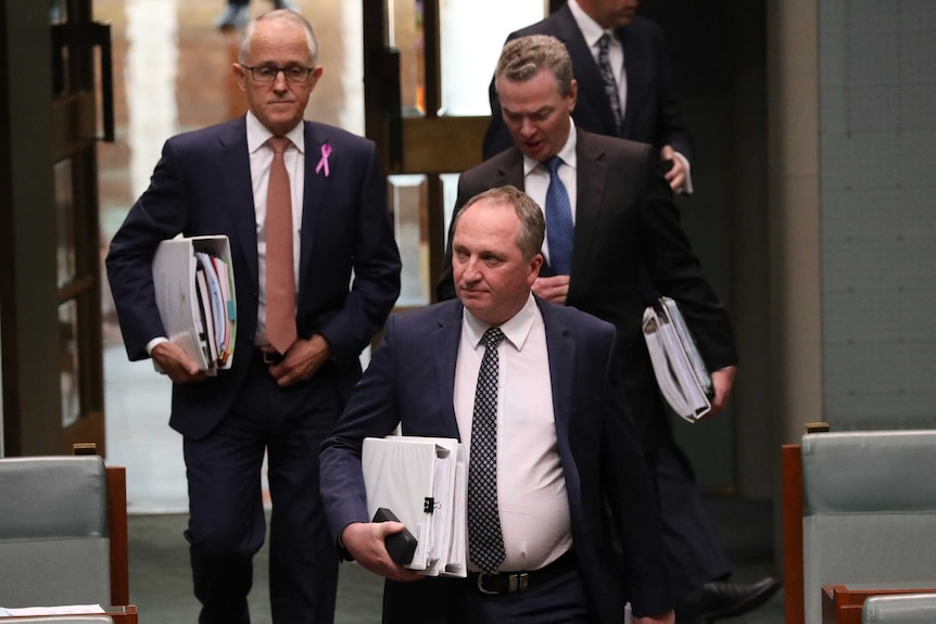 Barnaby Joyce leads Malcolm Turnbull and Christopher Pyne into Parliament