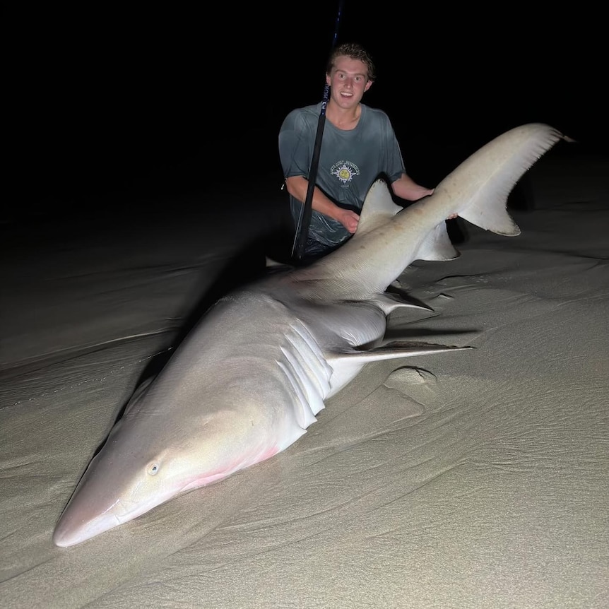 man holds sharks tail showing off catch on the shore.