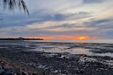 An orange sunset in a cloudy sky over the rocky shoreline of Saibai 