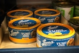 Cans of vegan tuna in a supermarket.