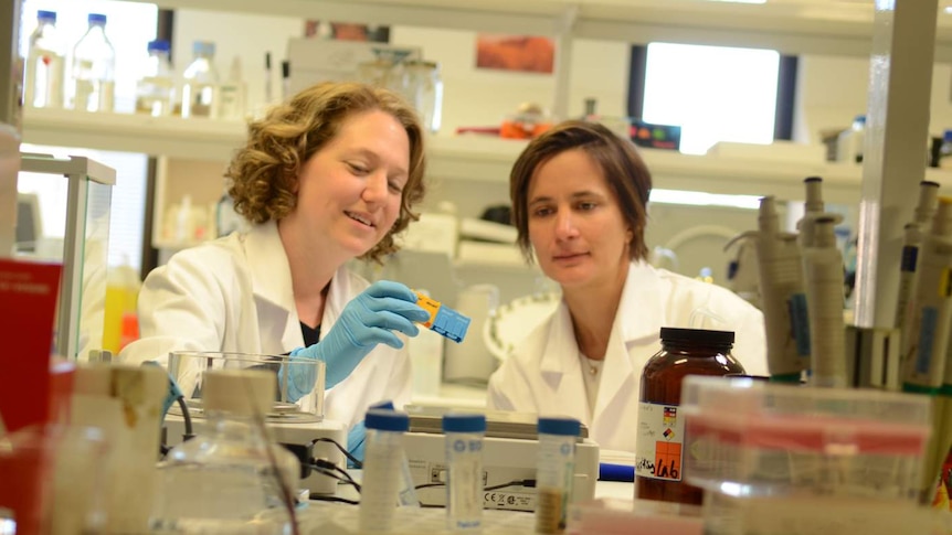 Dr Kathryn Davidson and Dr Alice Pébay in the laboratory