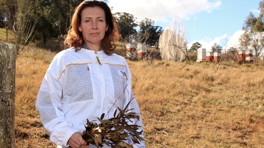 Deb McLaughlin stands in front of her bee hives holding eucalypt leaves and wearing a bee keeper suit.