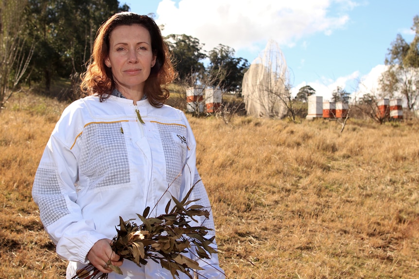 Deb McLaughlin stands in front of her bee hives holding eucalypt leaves and wearing a bee keeper suit.
