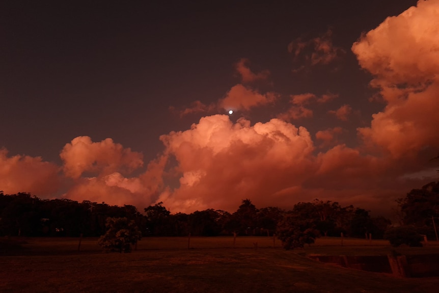 Nubi rosa intenso su Toowoomba