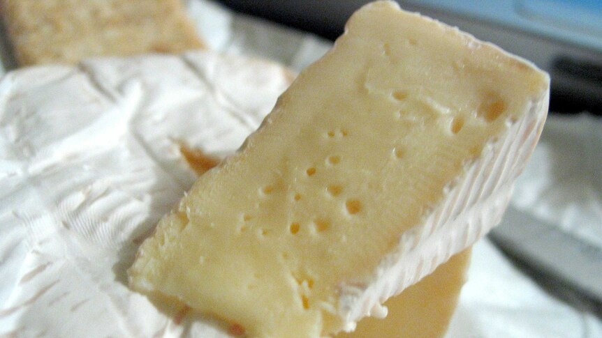 Brie cheese.