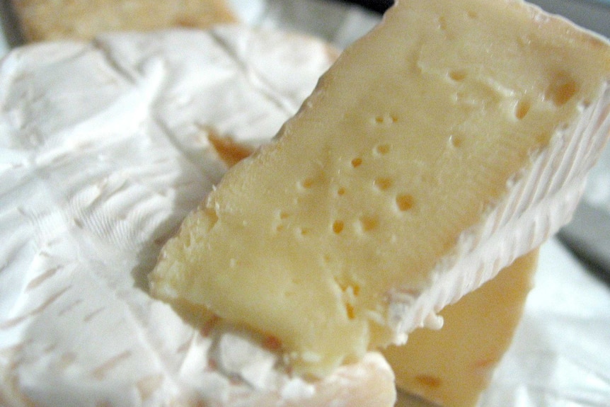 Brie cheese.