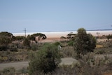 Kambalda landscape