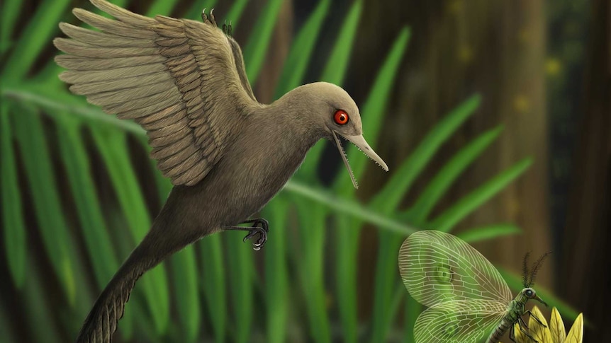Artist's illustration of small flying dinosaur