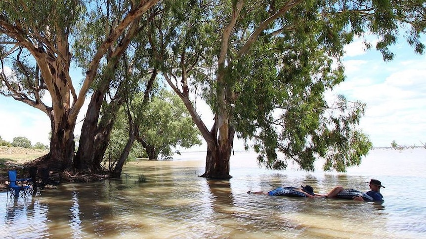 Revellers in Lake Pamamaroo during the heatwave