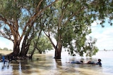 Revellers in Lake Pamamaroo during the heatwave