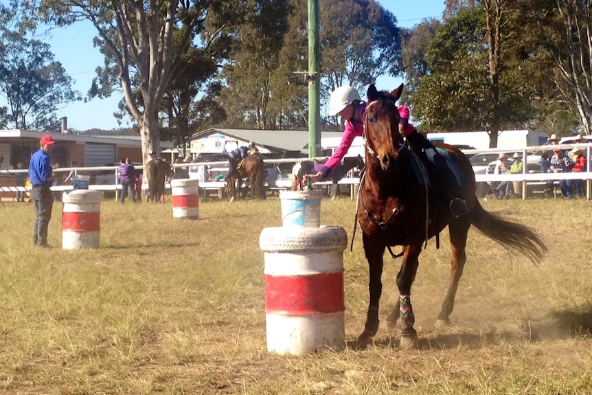 A young girl on a dark brown horse leans over to put a flag in a bucket on a barrel.