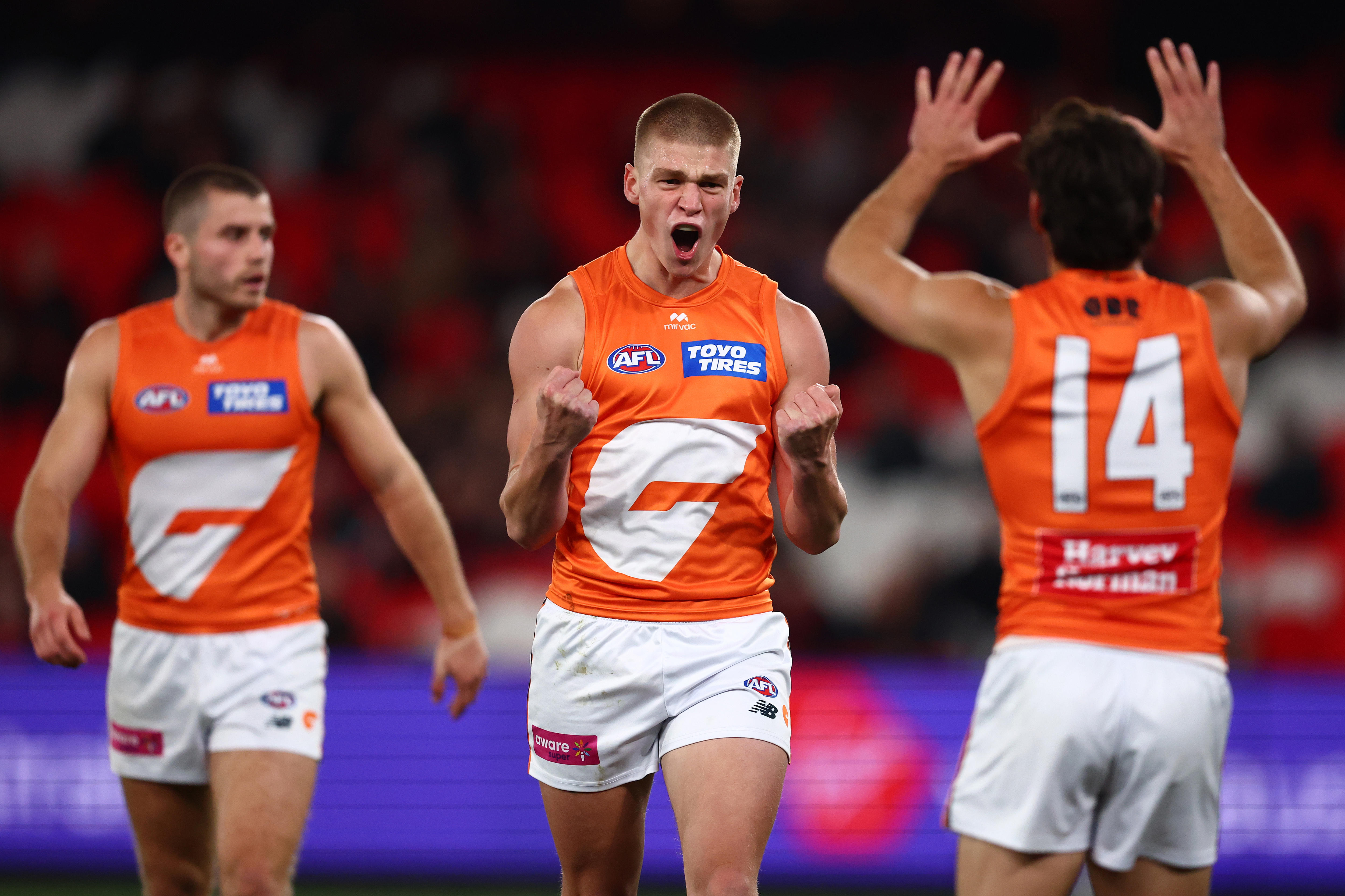 Experience prevails as GWS demolish young Dons
