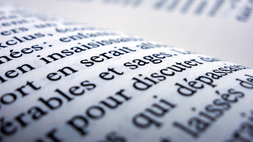 Text is shown on the pages of a French dictionary.
