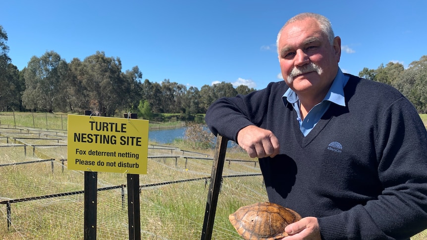 John Hawkins holds the shell of an eastern long-neck turtle while leaning on wire fencing.
