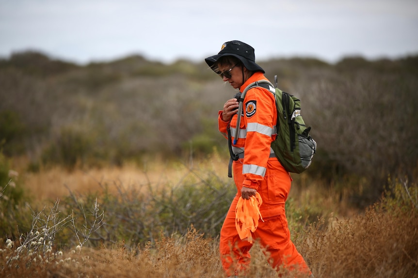 An SES volunteer wearing bright orange walking through thick scrub