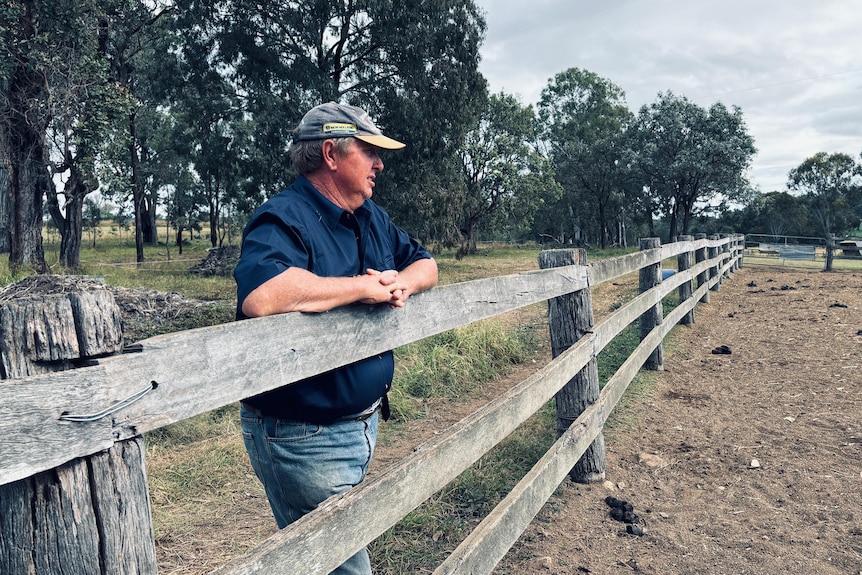 A man stands at a fence on a rural property