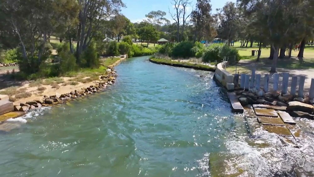 A waterway running through a bushland park.