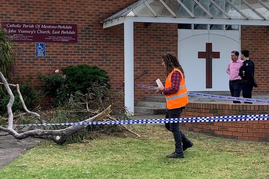 An arborist inspects a tree hours after a branch fell from it and injured three girls.