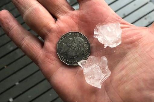 A man holds his palm up with a 50c coin and similar sized two pieces of hail to compare size.