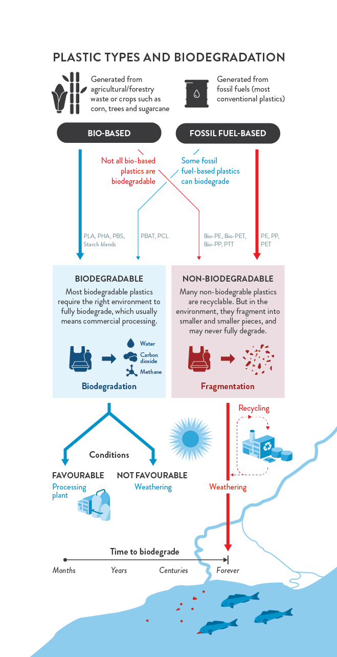 An infographic showing different types of plastics