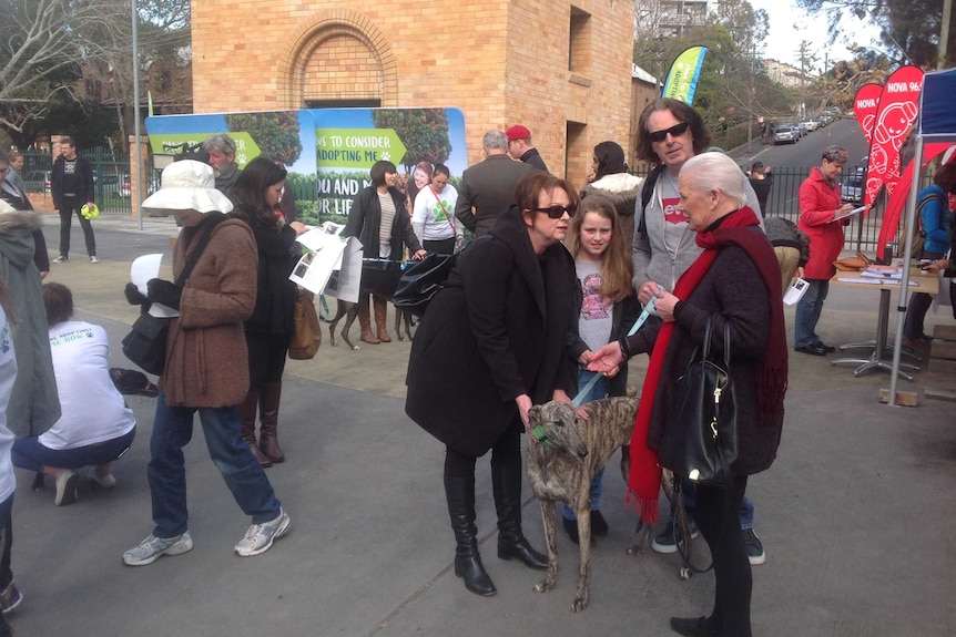 Families mingling and looking at greyhounds at Wentworth Park.