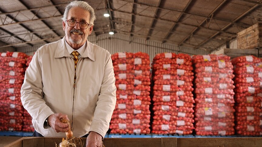 Ian Locke holding some fresh Tasmanian onions ready for export.