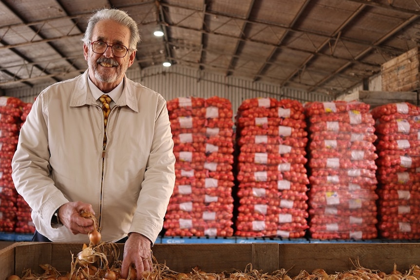 Ian Locke holding some fresh Tasmanian onions ready for export.
