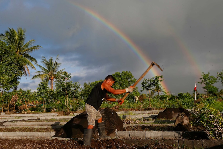 A farmer tills his field as two rainbows appear while Mayon volcano erupts anew as seen from Camalig township