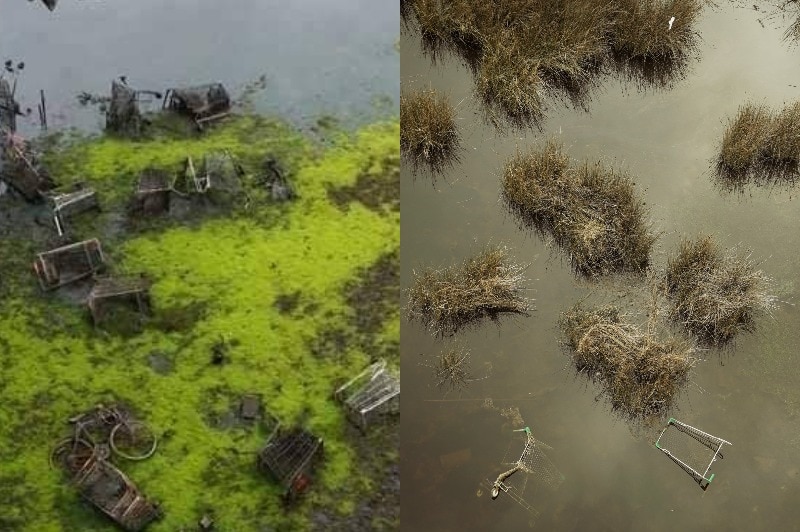 A composite image of trolleys in the water. There are lots of trolleys in the first image and just a few in the second