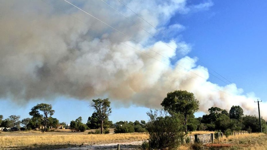 Smoke billows across a paddock as a bushfire burns at Myalup.