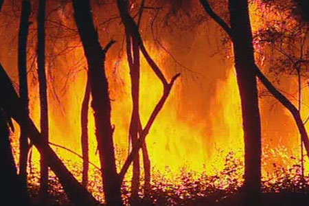 Bushfire burns in Kevington Victoria
