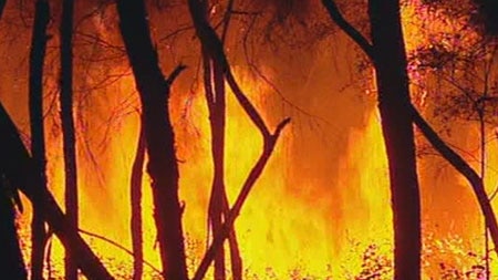 A bushfire burns in Victoria