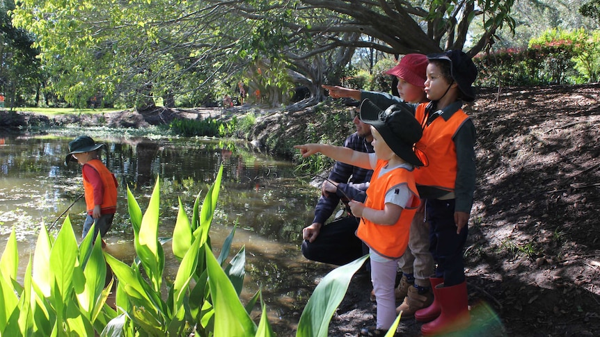 A group of children at a Port Macquarie Nature School preschool session.