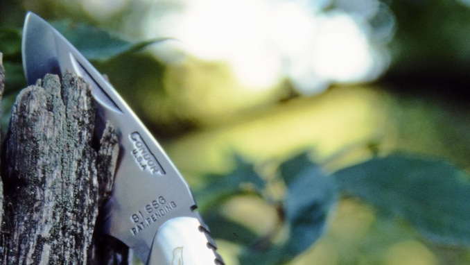 A hunting knife is stuck in a piece of wood.