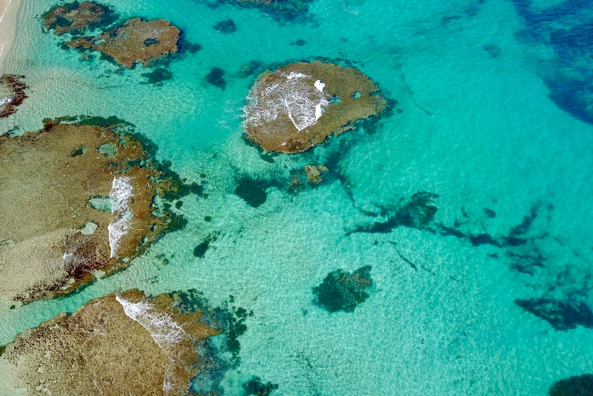 Drone shot of water and reef.