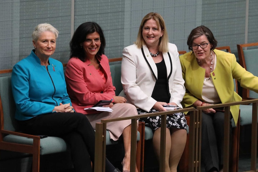 Kerryn Phelps in blue, Julia Banks in pink, Rebekha Sharkie in white and black, and Cathy McGowan in lime green.