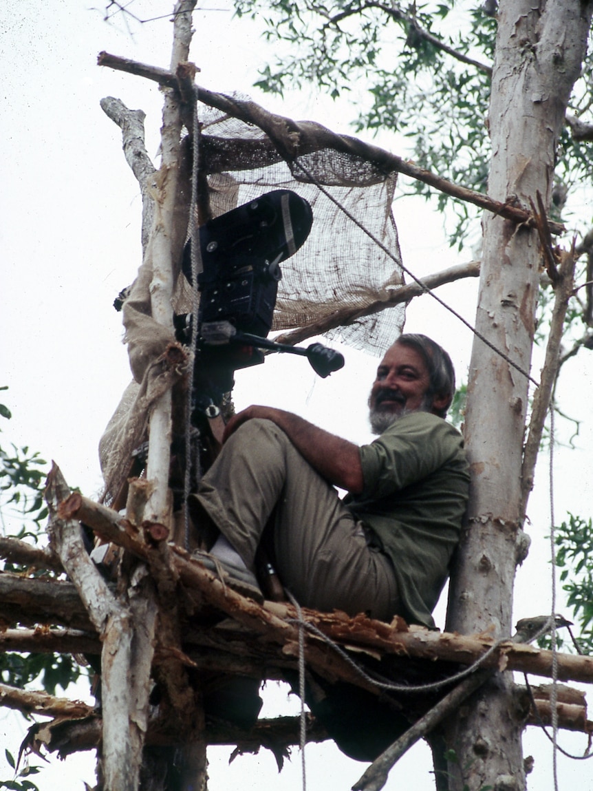 A man sits on a makeshift platform in a tree, wtih a camera set up.