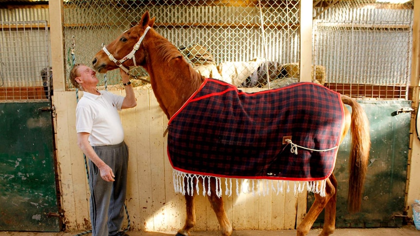 David Mace standing nose to nose with his horse Steven