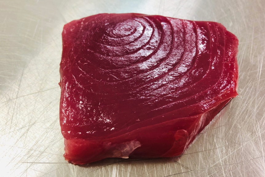 A beautiful looking deep red slice of fish. You can see the grain in the tuna's flesh.