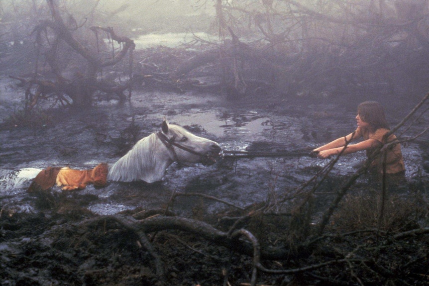 Boy trying to rescue his sinking horse from a dismal quicksand bog.