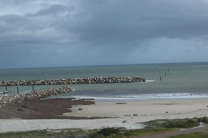 Rock groynes and a beach with seaweed on it with storm clouds