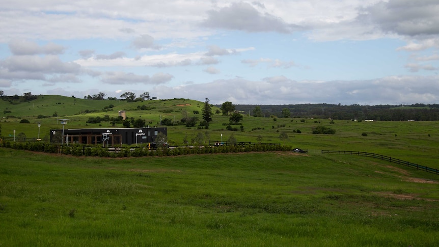 Rolling green hills.