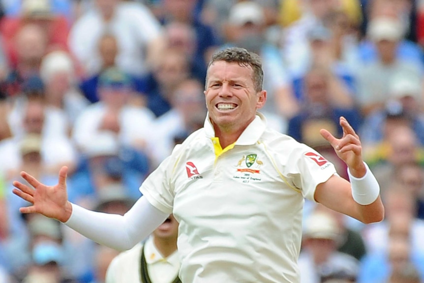 Australia bowler Peter Siddle bares his teeth while bowling during the first Ashes Test at Edgbaston.