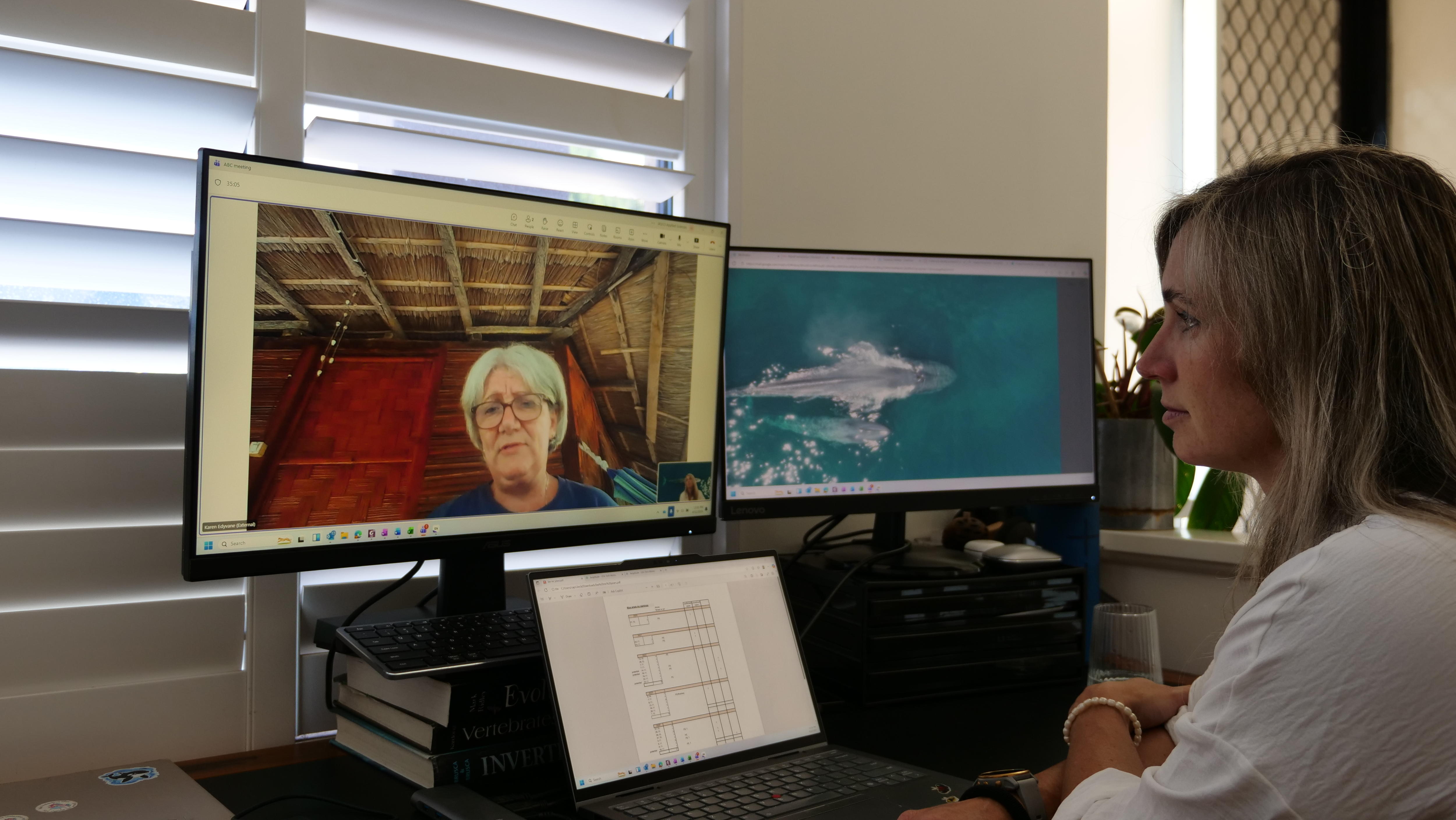 Two people converse over a computer screen.
