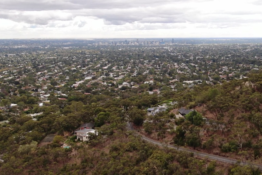 An aerial photo of a hill, houses and the CBD in the distance