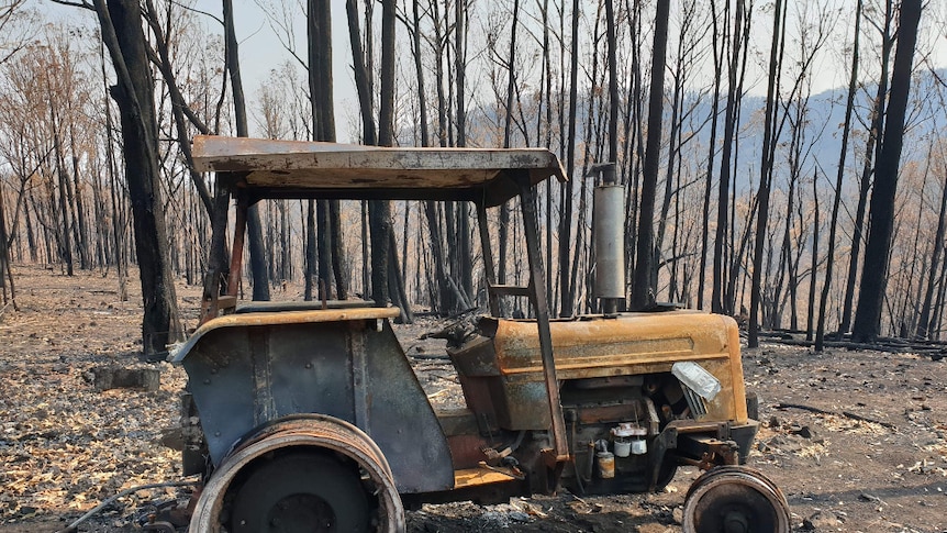 a burnt tracker in front of trees burnt by a fire